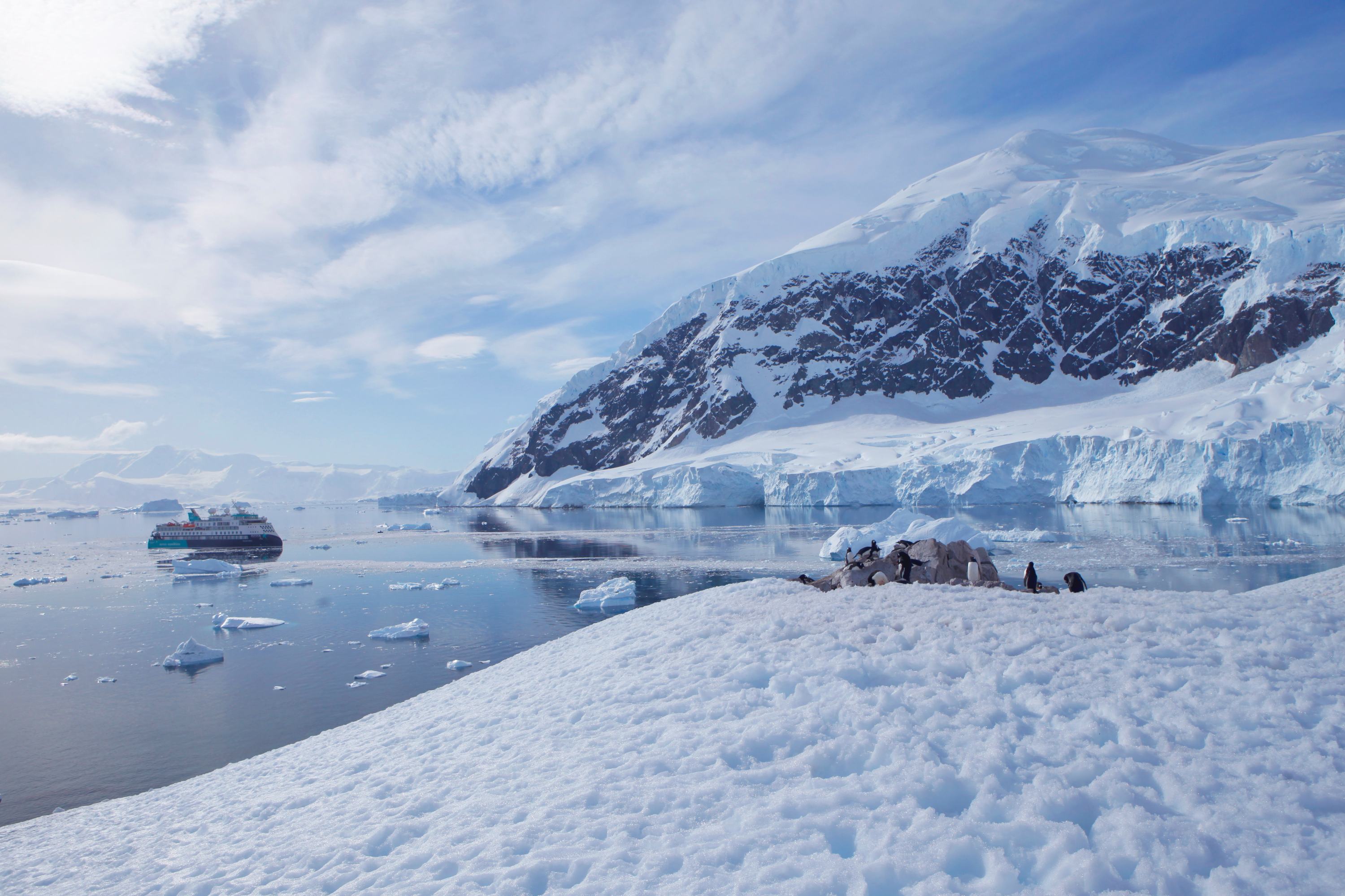 Polarkreuzfahrt mit der Sylvia Earle: Kleine Expeditionsgruppe, intensive Landgänge, moderne Technik und nachhaltiges Reisen in Arktis oder Antarktis.